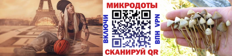 Галлюциногенные грибы прущие грибы  Куйбышев 